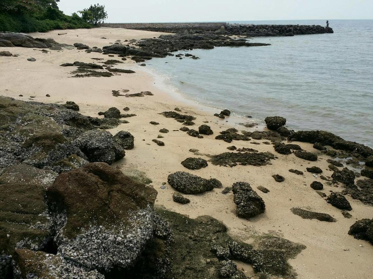 Serenity Pattaya Beach Εξωτερικό φωτογραφία